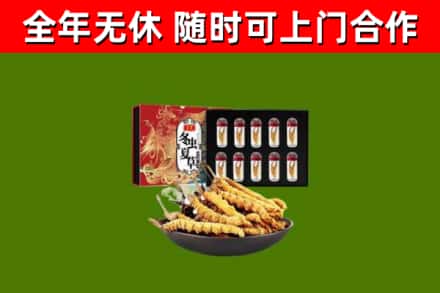 自贡回收冬虫夏草价格